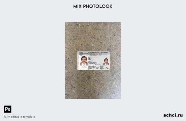 цифровая загрузка Мексиканский национальный институт предвыборной фотографии, ша